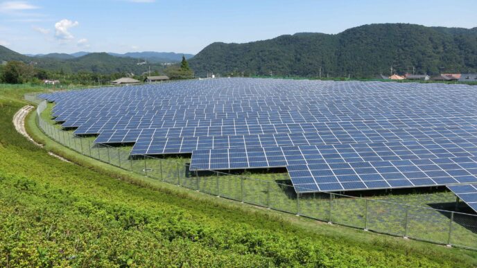 granja solar con flores silvestres y abejorros